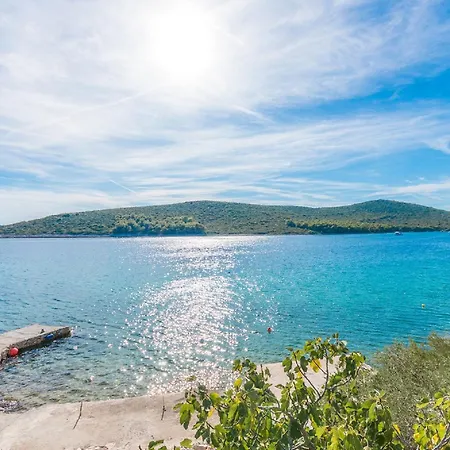 House Lady Anna Pašman